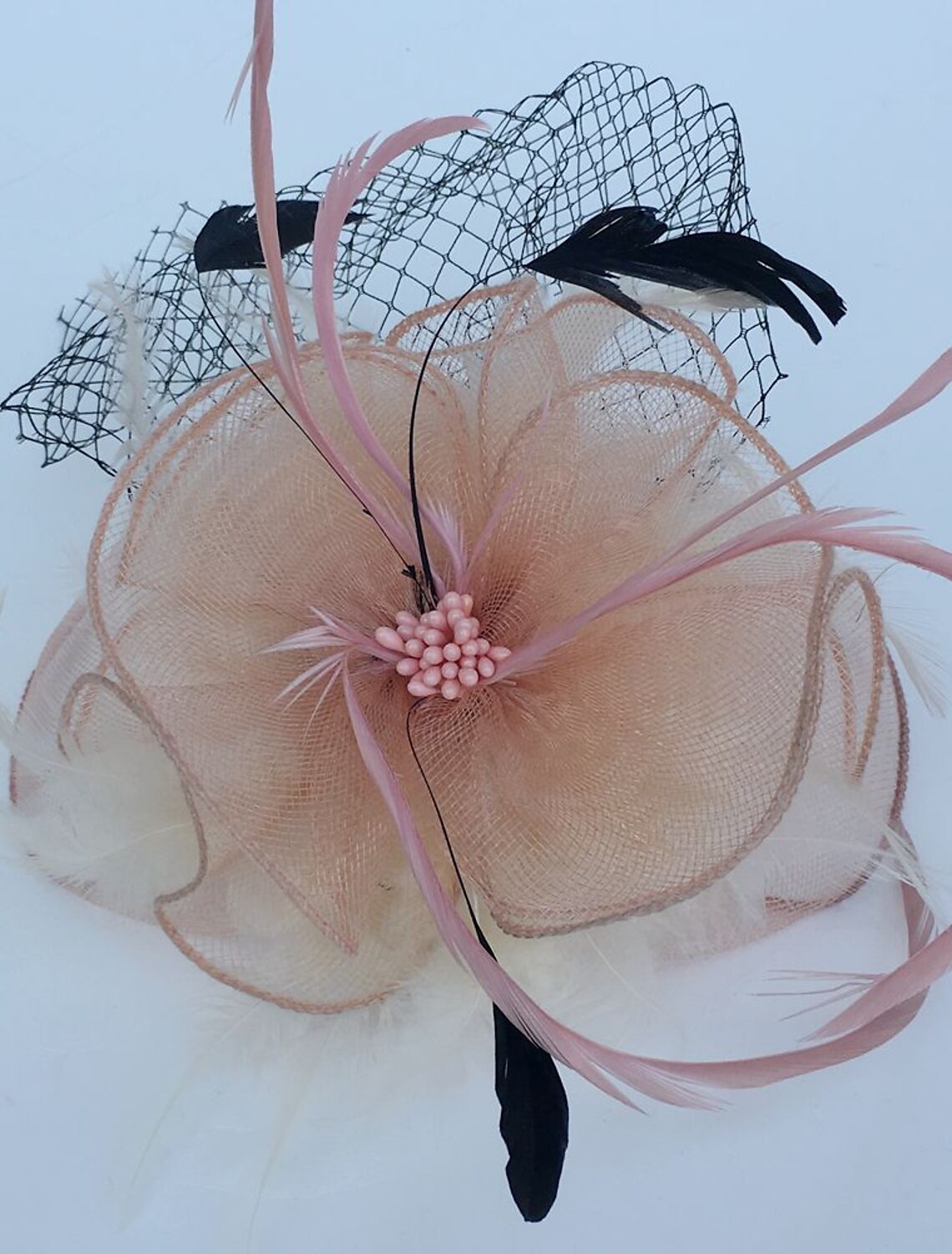 Wholesale Feather / Net Fascinators Kentucky Derby Hat / Headwear / Birdcage Veils with Floral 1PC Wedding / Special Occasion / Tea Party Headpiece