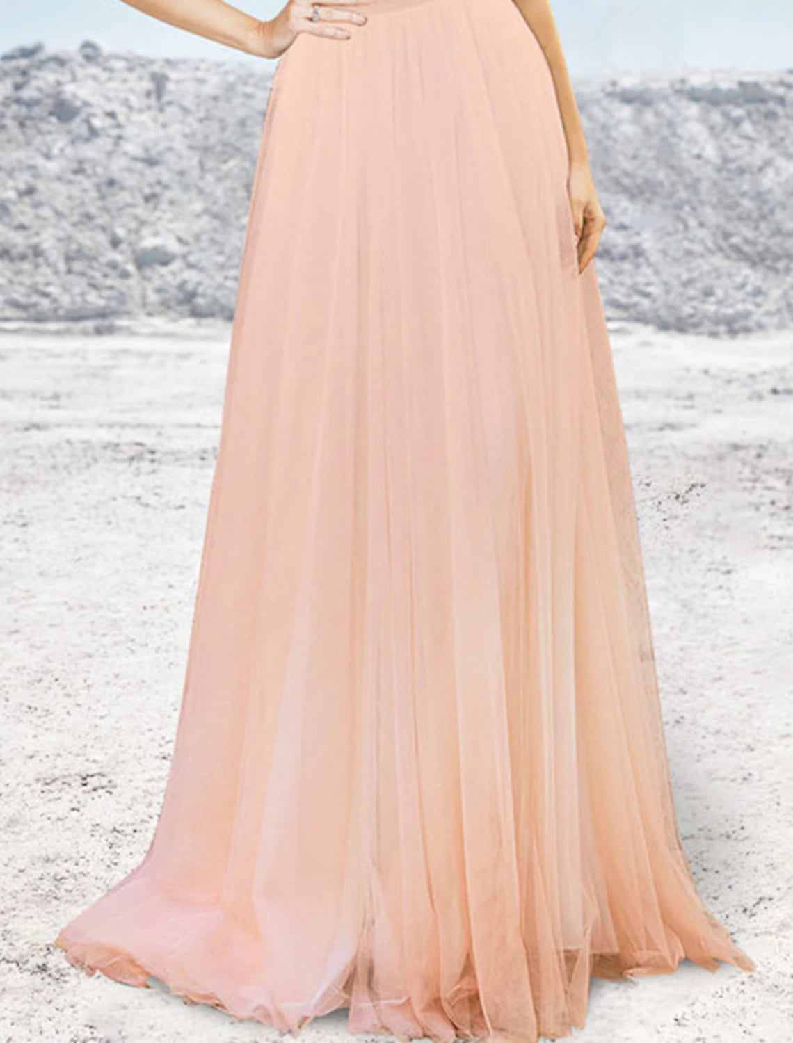 Wholesale A-Line Evening Gown Elegant Dress Formal Wedding Party Sweep / Brush Train Sleeveless Strapless Tulle with Pleats