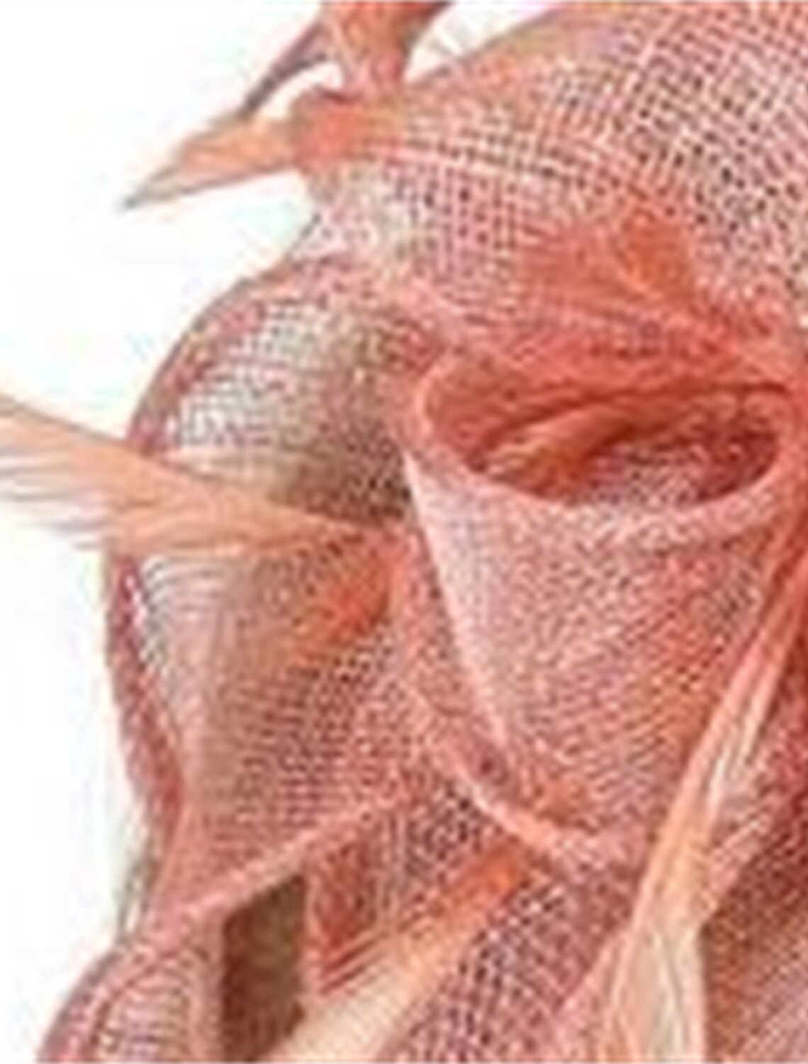 Wholesale Fascinators Hats Headpiece Flax Formal Kentucky Derby Horse Race Ladies Day Cocktail Fashion Glam Elegant With Feather Headpiece Headwear